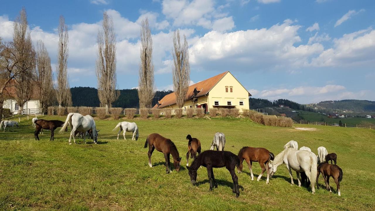 Gaestehaus Sabine Voitsberg Bagian luar foto